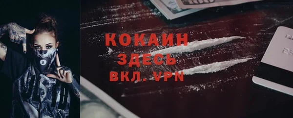 ПСИЛОЦИБИНОВЫЕ ГРИБЫ Абаза