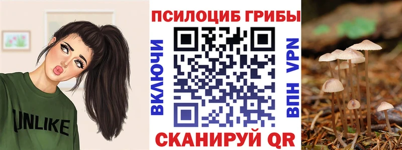 Галлюциногенные грибы мицелий  Щёкино 